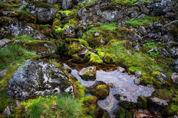 groundwater exploration